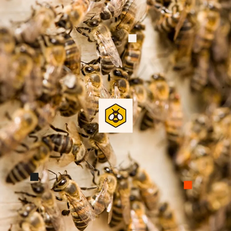 Nova Medex spletna trgovina